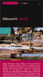 Mobile Screenshot of discoveringfiguig.com